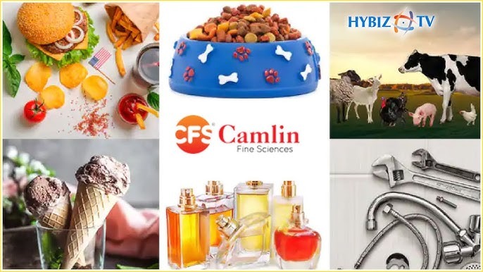 Camlin Fine Sciences Reports Mixed Q3 FY2025 Results Amid Market Challenges