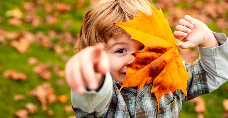 Fall Into Fun: Your Ultimate List of Free Space Coast Happenings Sept 26-Oct 2