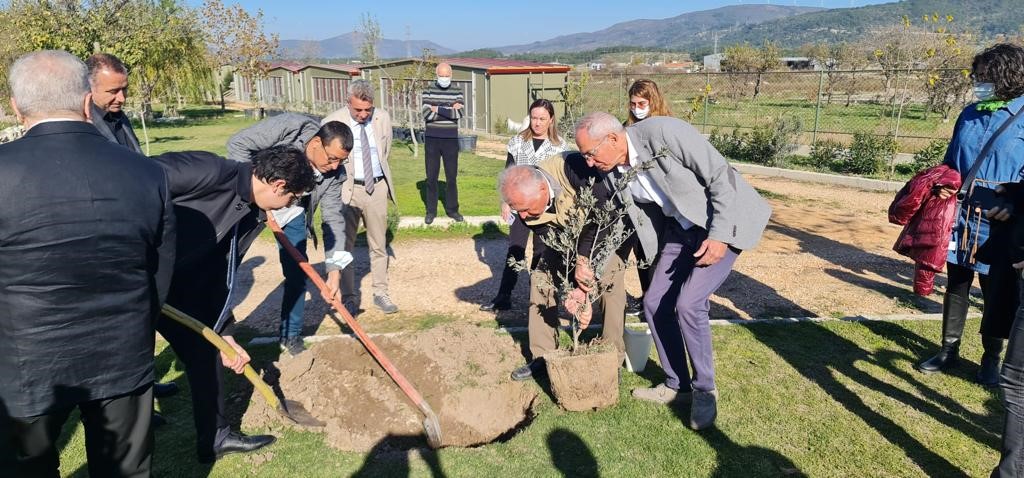 Planting Peace: Turkey’s New Olive Park Sprouts Global Unity