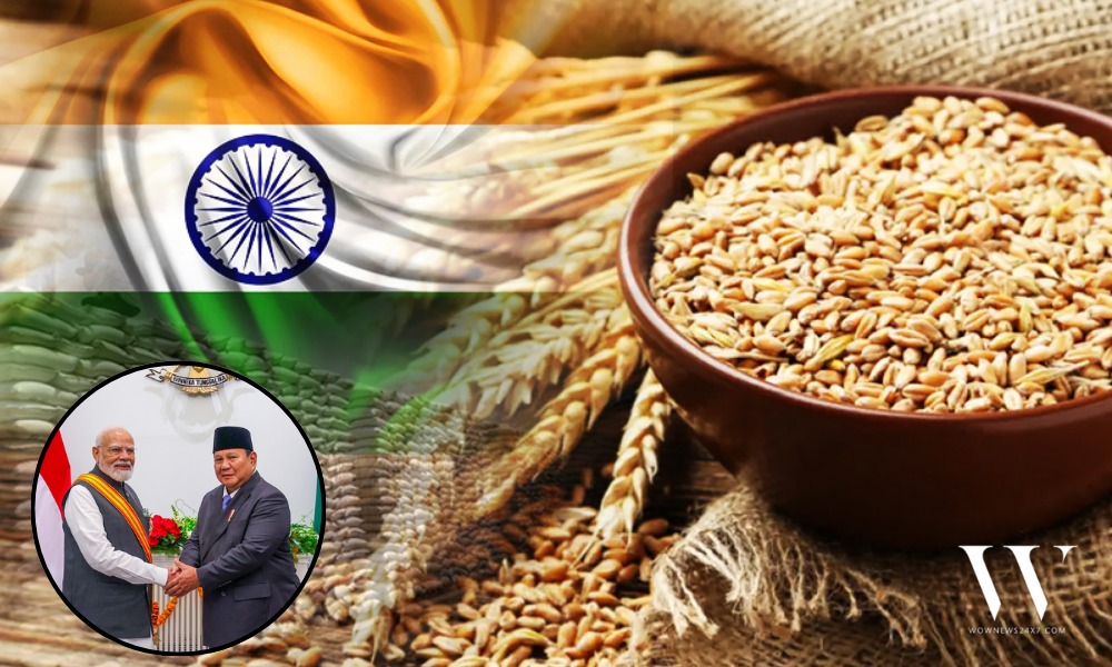 India to Supply High-Yield Wheat Seeds to Boost Indonesia’s Food Security