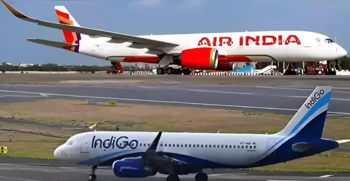 Scraped Wings, Shaken Skies: Mumbai's Ground-Level Goosebumps