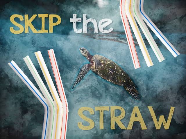Last Straw for Environmentalists: Federal Plastic Policy Takes Shocking Turn