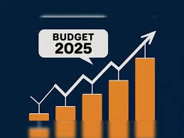 Budget 2025: Will India Finally Cut the 50% Tax on Dividends?
