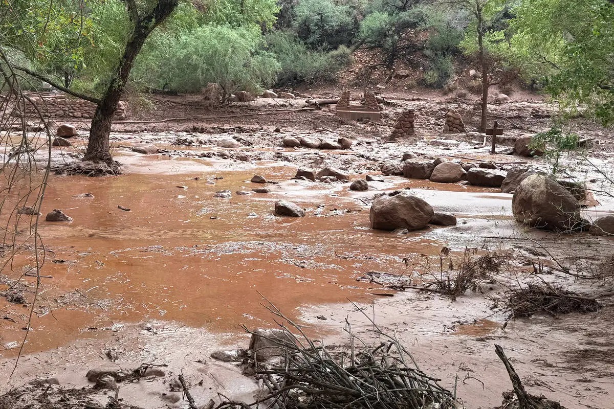 Grand Canyon Flash Flood Forces Evacuations and Prompts Search