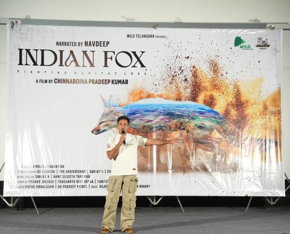 Habitat Under Siege: The Fox’s Battle for Survival in Telangana’s Grasslands