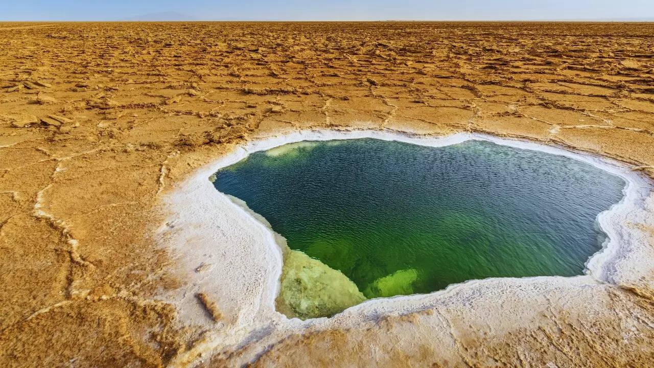 Saltiest of Them All: The Lake With the World’s Highest Salt Concentration