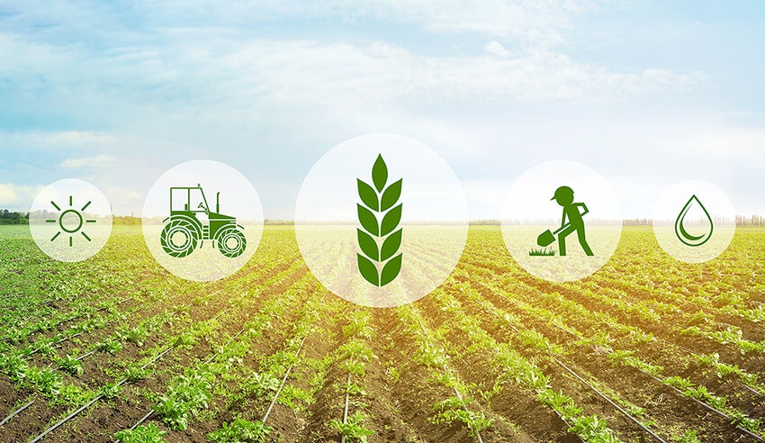 Major Agricultural Initiatives Transforming India's Farming Landscape