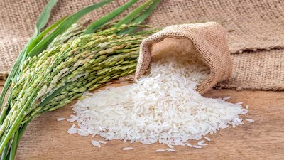 India’s Rice Overflow Meets Wheat Deficit: Balancing the Grain Scales