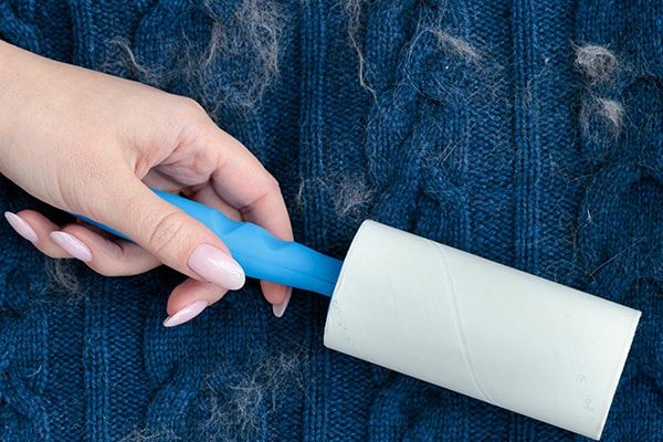 Smart Hacks to Remove Pet Hair from Clothes Effortlessly