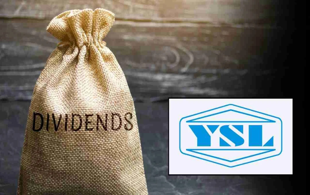Yamuna Syndicate Stuns Street With Hefty Rs 500 Final Dividend Call