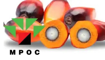 Malaysian Palm Oil Council Forecasts Balanced Price Movement for March