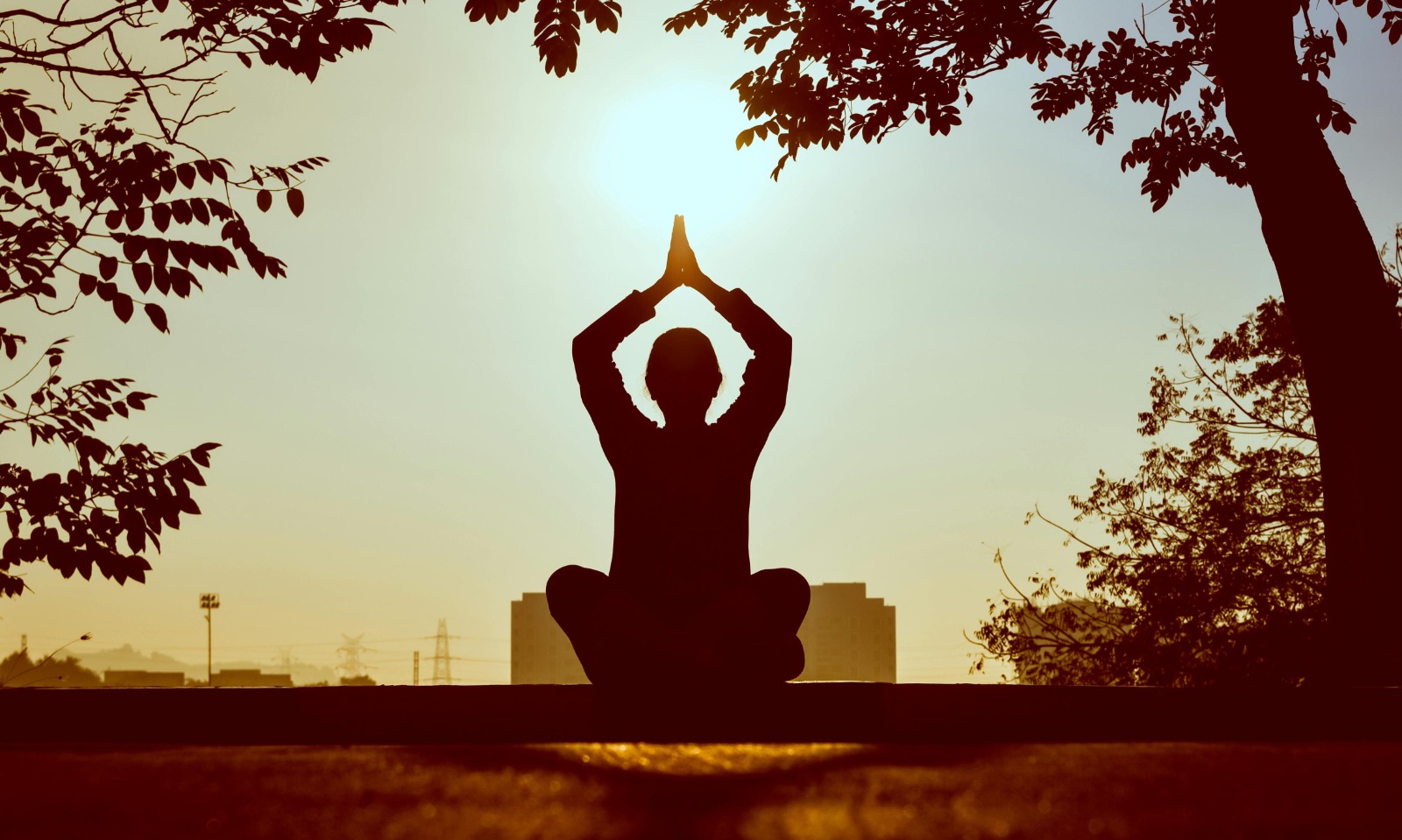 The Body Speaks; Are You Listening? Cracking the Code to Wellness