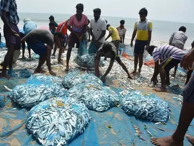 Centre to Launch ₹50 Crore Fisheries Schemes for Northeast States