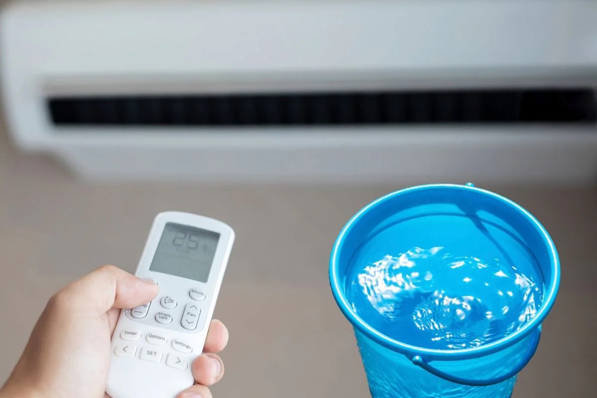 Humidity Hack: When a Bucket Beats the Heat (and the Itch)