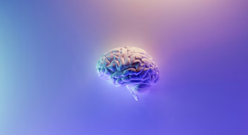 Unlock Harvard’s Critical Thinking Routines for Everyday Clarity