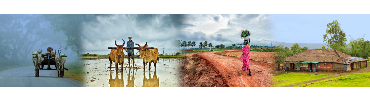 India's Rural Poverty Plummets from 25.7% to 4.86% Over 12 Years