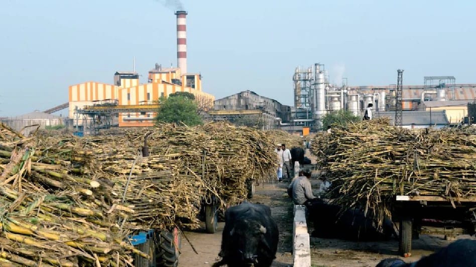 The Sugar Mill Is Being Reinvented: How India Is Turning Cane Waste Into a Bio-Economy