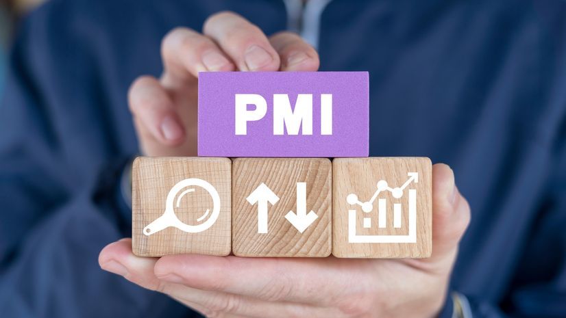 India’s February Flash PMI Shows Strong Growth Momentum Despite Mixed Sector Trends
