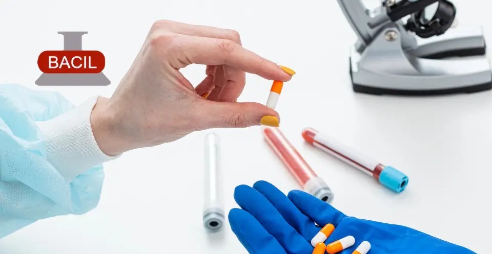 Bacil Pharma Incorporates Wholly Owned Research Subsidiary
