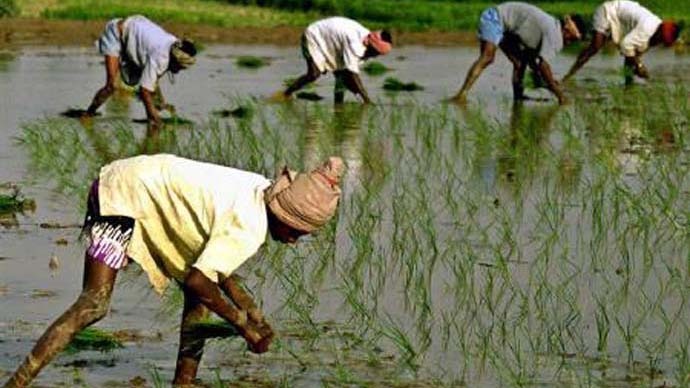 Sowing the Seeds of Change: Govt Announces Ambitious Plans to Energise India's Farming Industry