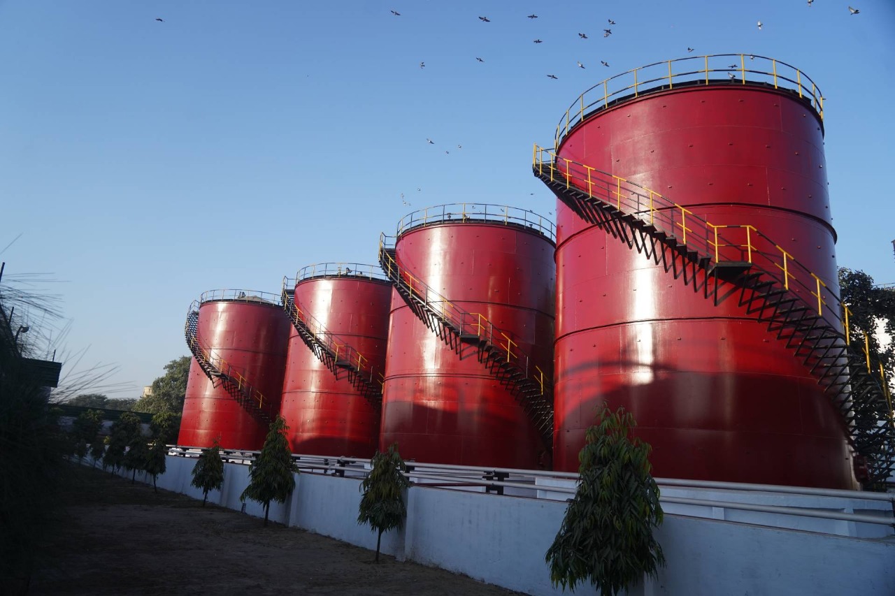 Avadh Sugar & Energy Reports Quarterly Performance, Announces Dividend