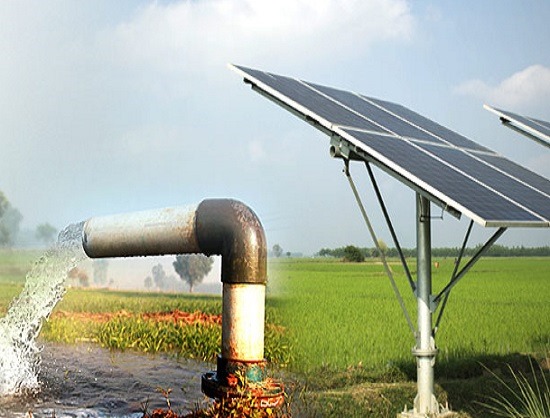 Shakti Pumps Subsidiary Awarded 113 Acres for Solar Cell and PV Module Plant in Madhya Pradesh