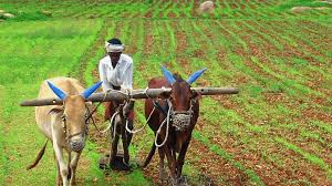 From Annadatas to Oorjadatas: PM Modi Celebrates The Success of PM-KISAN Scheme, With Gratitude To The Farmers