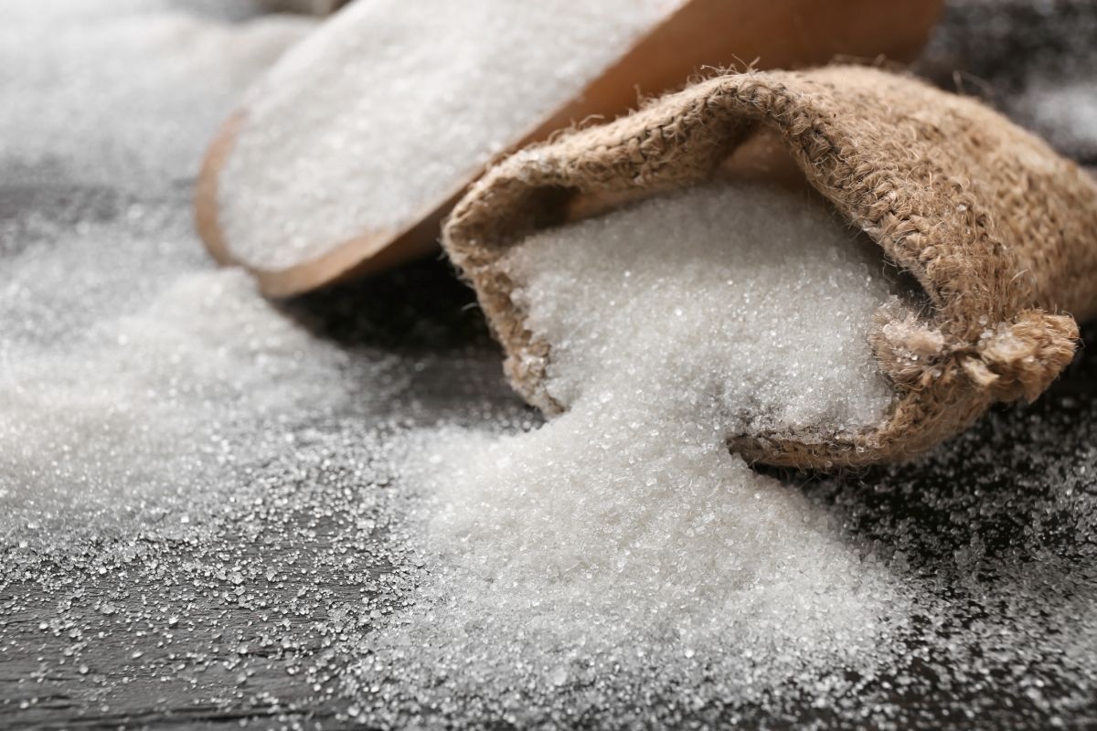 From Surplus To Shortfall: ISO Forecasts Ethanol Growth And Sugar Market Shifts