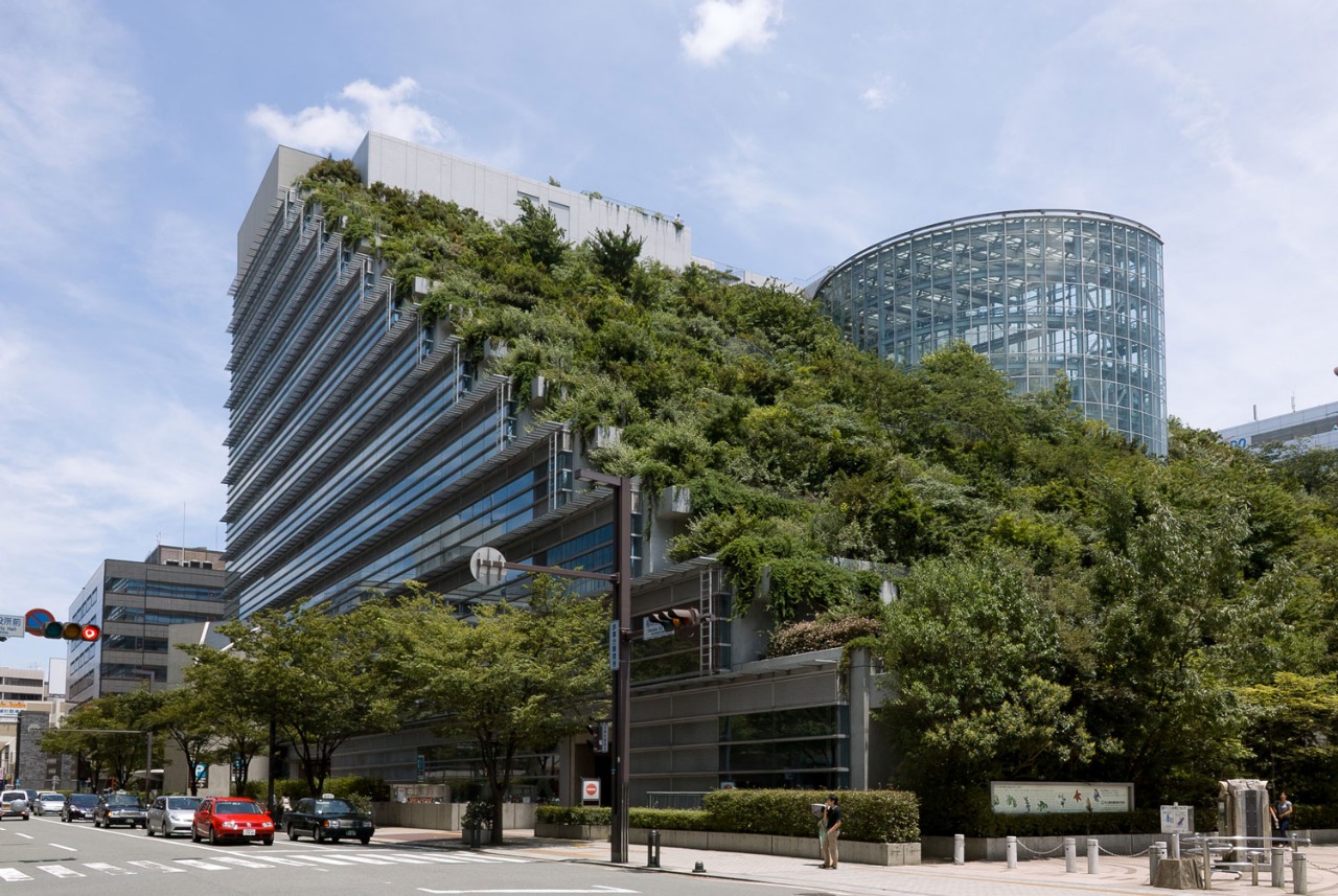 Constructing a Climate-Resilient World: The Role of Innovative Eco-Architecture