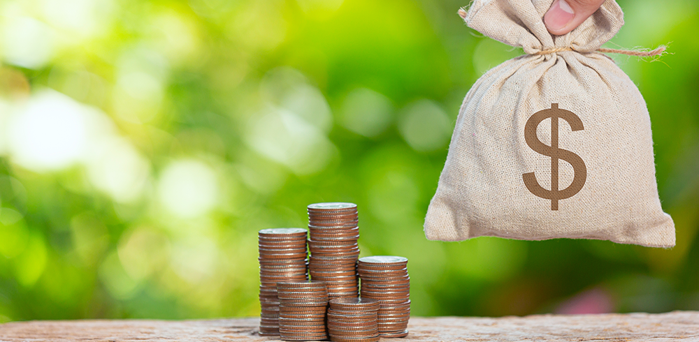 NHPC to Consider Borrowing Plan for FY 2025-26