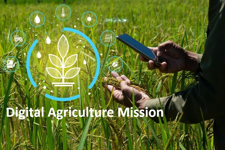 Digital Revolution in Indian Agriculture: 40% Farmers Embrace Electronic Payments