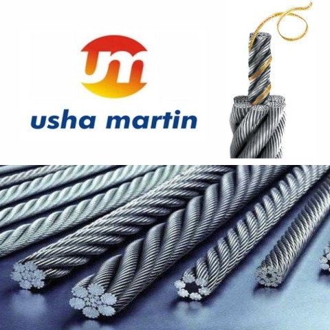 Usha Martin June Quarter Financial Report: Strong Revenue Growth and Solid Profitability Reflect Operational Strength