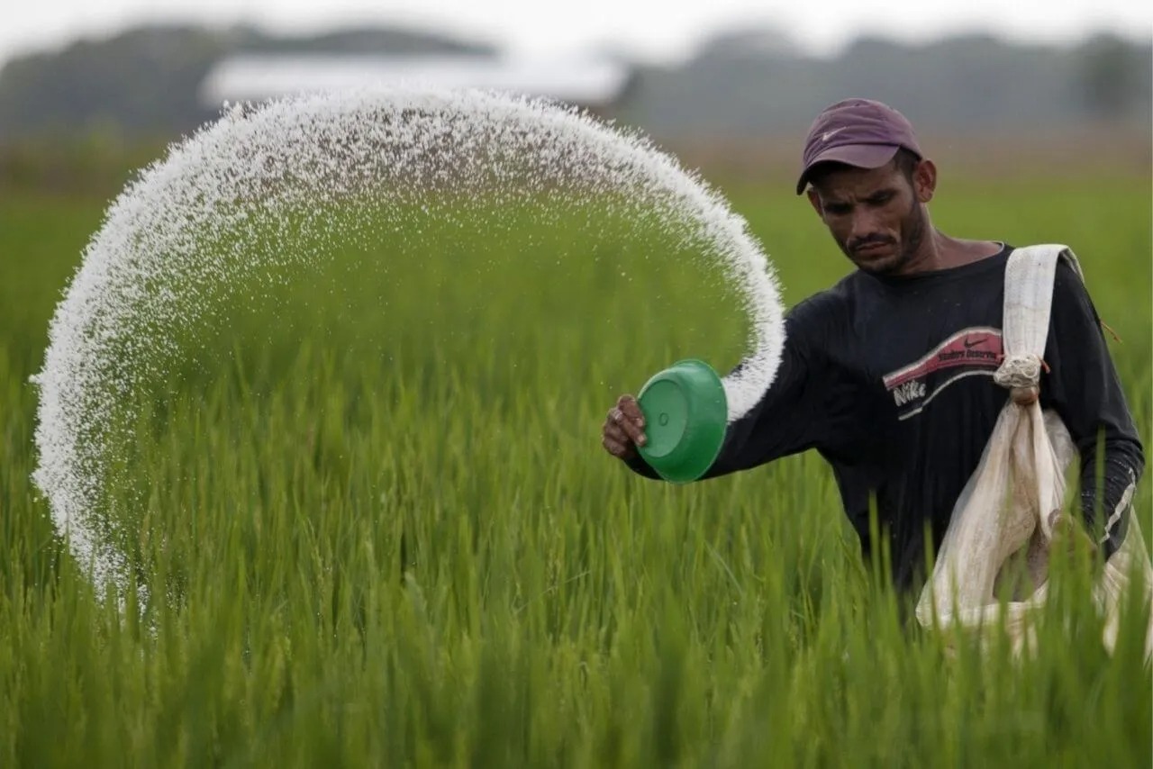 National Fertilizers Ltd Backs Namrup-IV Project with 18% Equity
