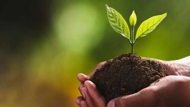 UP Roots for Change: 35 Crore Saplings to Branch Out This July