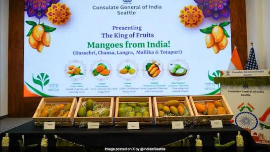 From Aamchi Mumbai to Seattle: India’s Mangoes Go Global & Glam