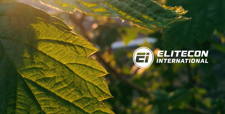 Elitecon Inks USD 97.35 Million Export Contract, Strengthens Foothold in Middle East