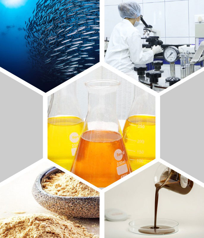 Mukka Proteins Q4 Profit at ₹140 Million on Revenue of ₹3.72 Billion, Continues Growth Streak
