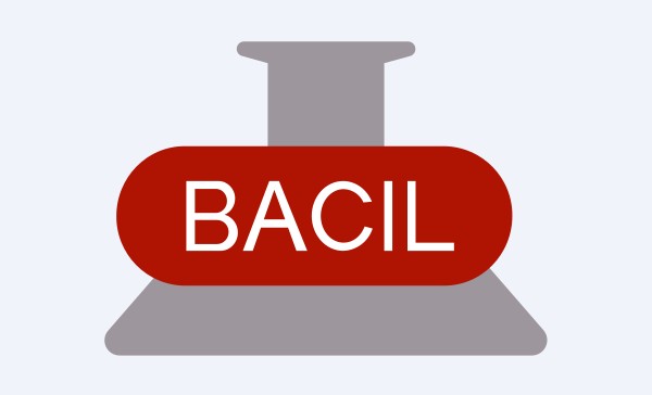 CFO Switch at Bacil Pharma—Is a Revival Strategy Taking Shape?