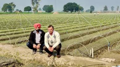 Seeds of Success: Haryana Farmer Cultivates Innovation to Sell 10 Crore Vegetable Plants Annually
