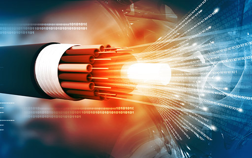 Dynamic Cables to Consider Bonus Issue & Capital Expansion on May 30
