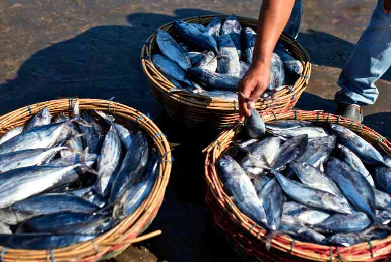 India Hooks No. 2 Spot: Fish Production Soars