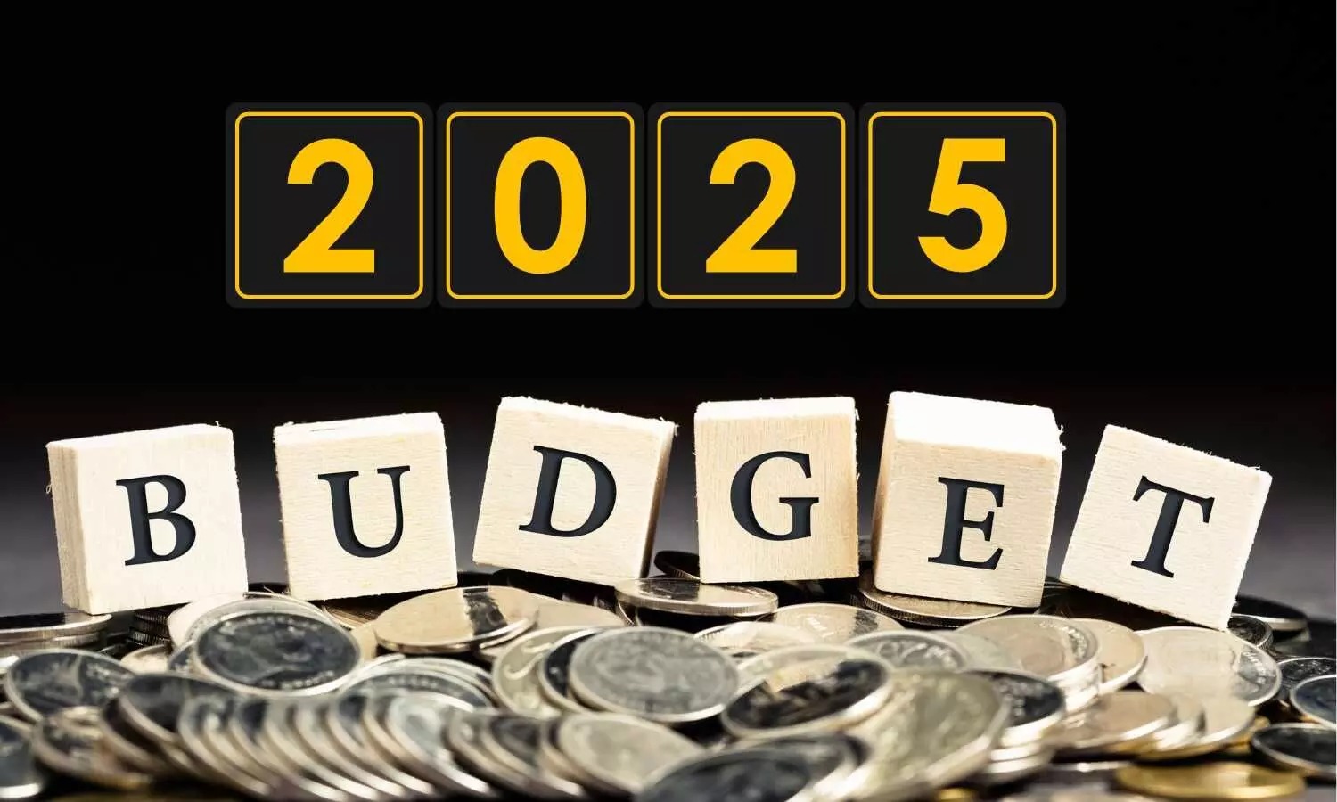 India's Union Budget 2025: Total Expenditure Estimated at ₹50.65 Trillion
