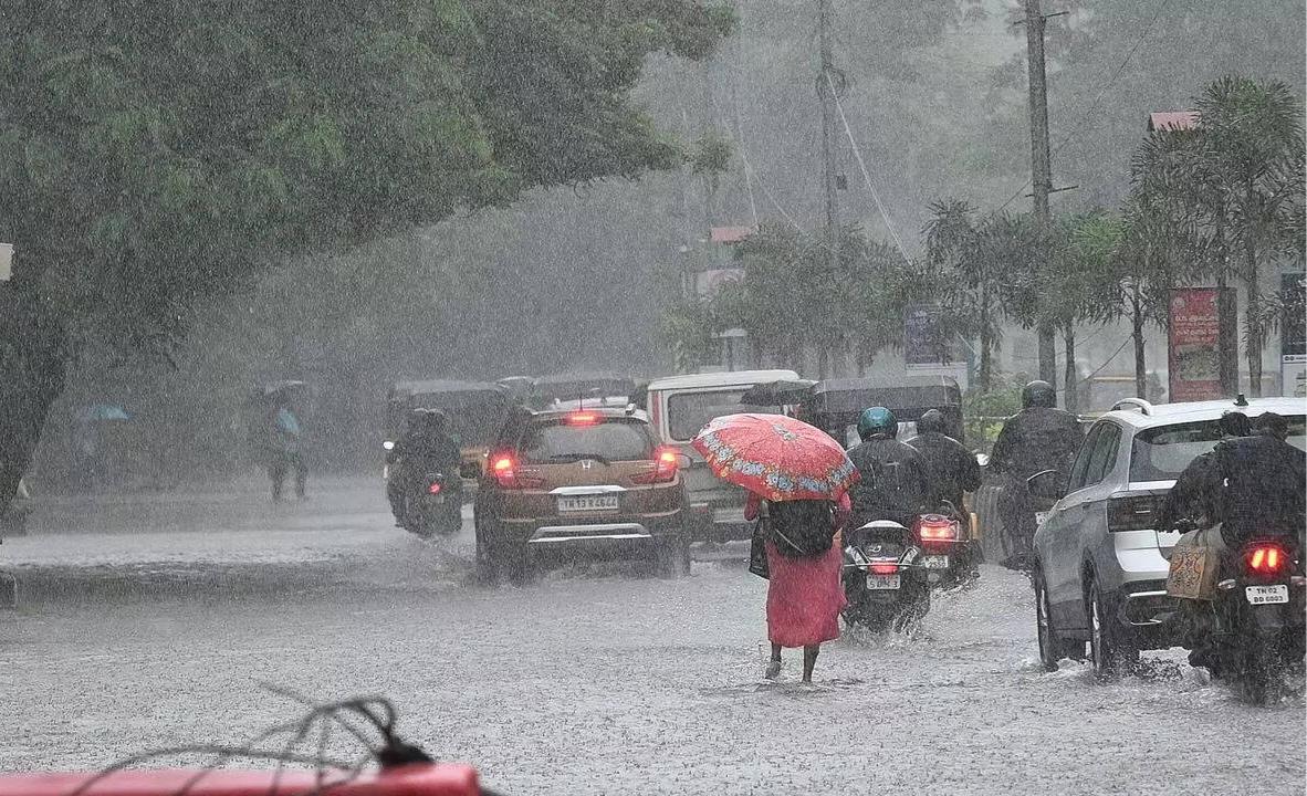 TN Declares Rain Holiday for Schools, Colleges in 5 Districts Amid Red Alert