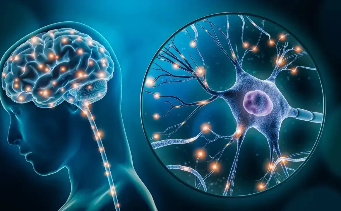 Science Just Found a Fountain of Youth—Inside Your Head