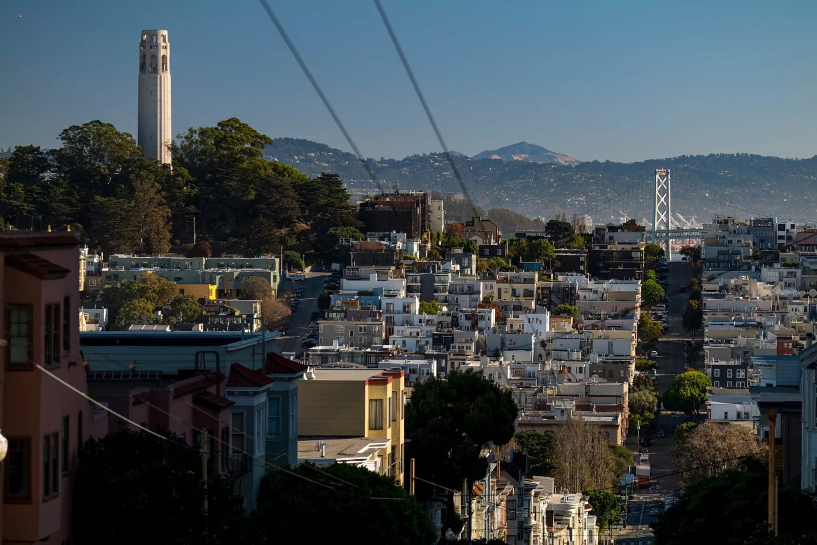 Open Philanthropy Launches $120 Million Fund to Support YIMBY Reforms