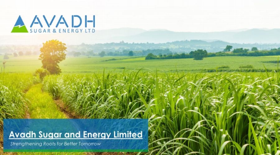 Sweet Finish To The Year: Avadh Sugar Posts ₹671 Crore Quarter, Profits Surge, And Declares ₹10 Dividend