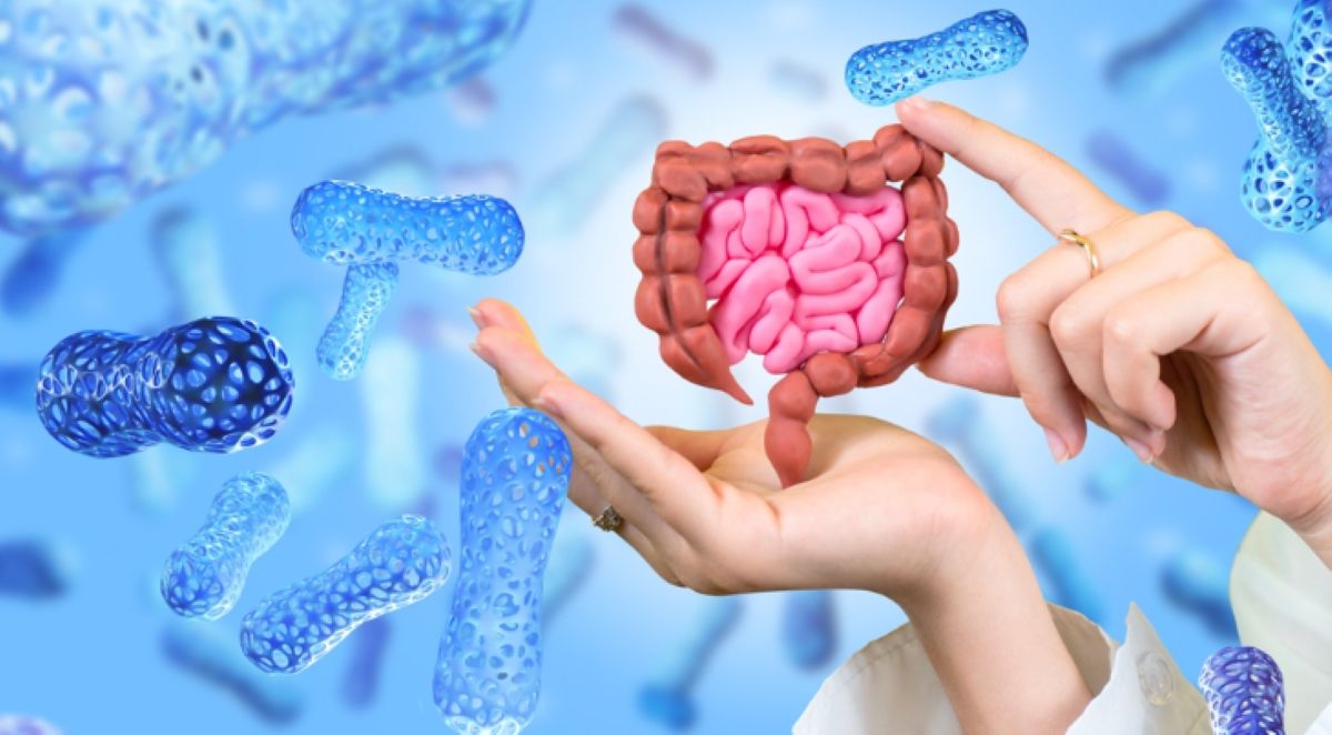Gut Feeling: How Probiotic-Rich Diets Are Powering Immunity And Mood In 2025