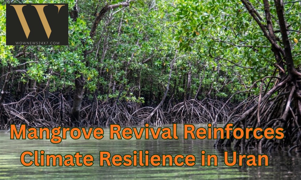 Green Gold: 10,000 Mangroves Resurrected, Boosting Uran’s Coastal Safety