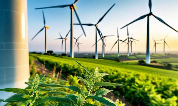 Indowind Energy sets rights issue price at ₹15.35 per share