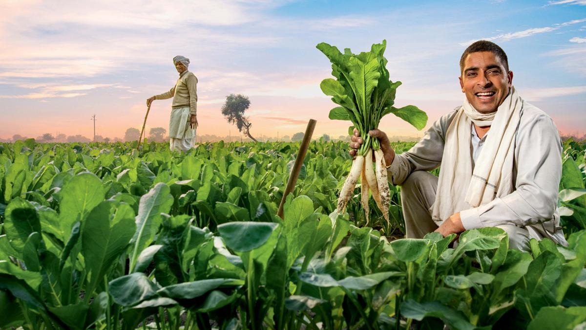 India's Bold Leap: Government Launches 6-Year Pulses Mission for Agricultural Self-Sufficiency